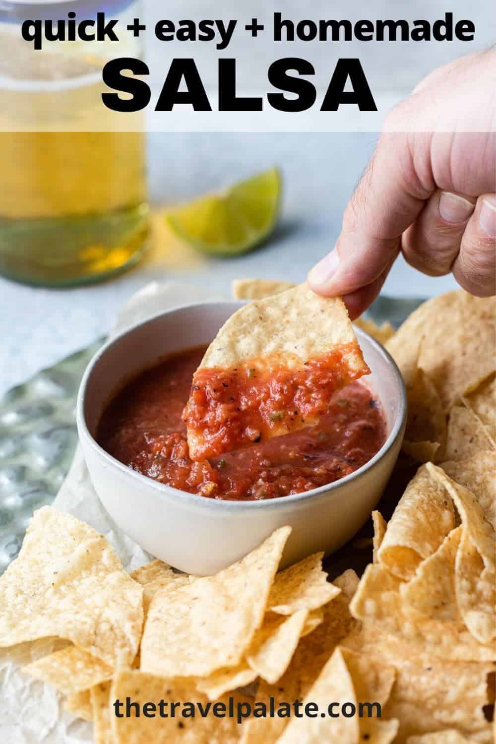 Blender Salsa - The Travel Palate