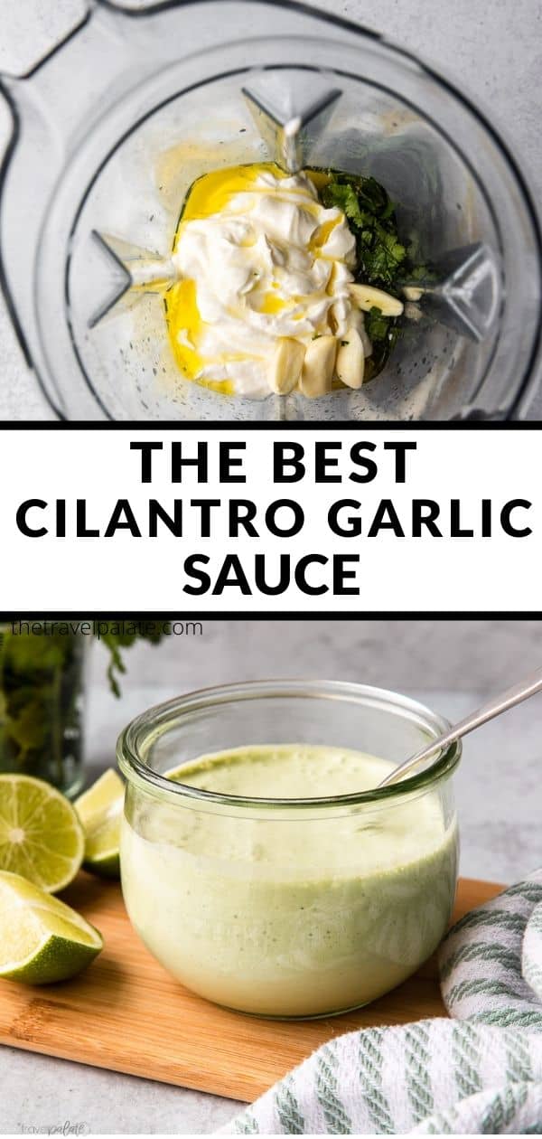 Cilantro Garlic Sauce - The Travel Palate