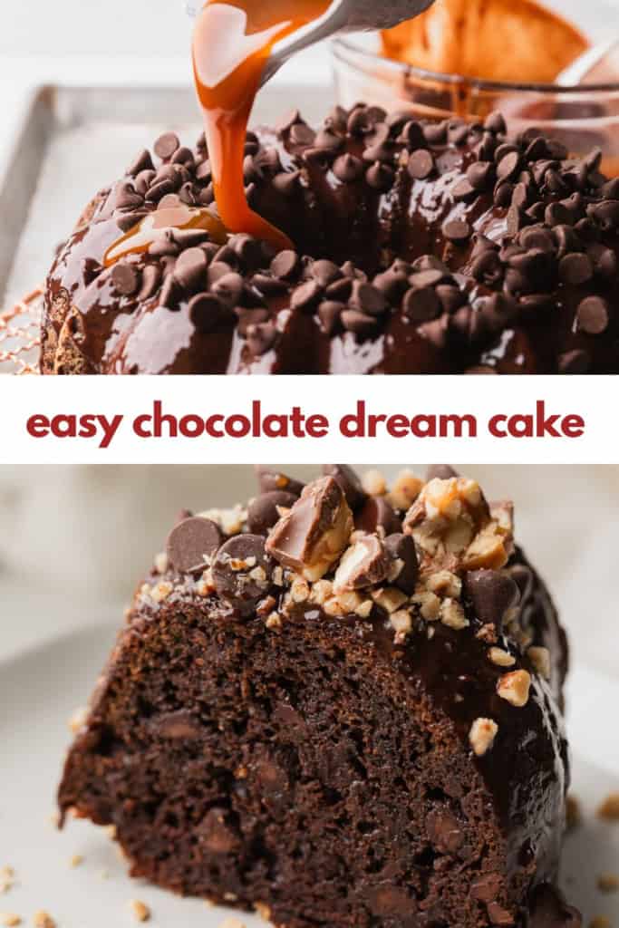 Chocolate dream cake.