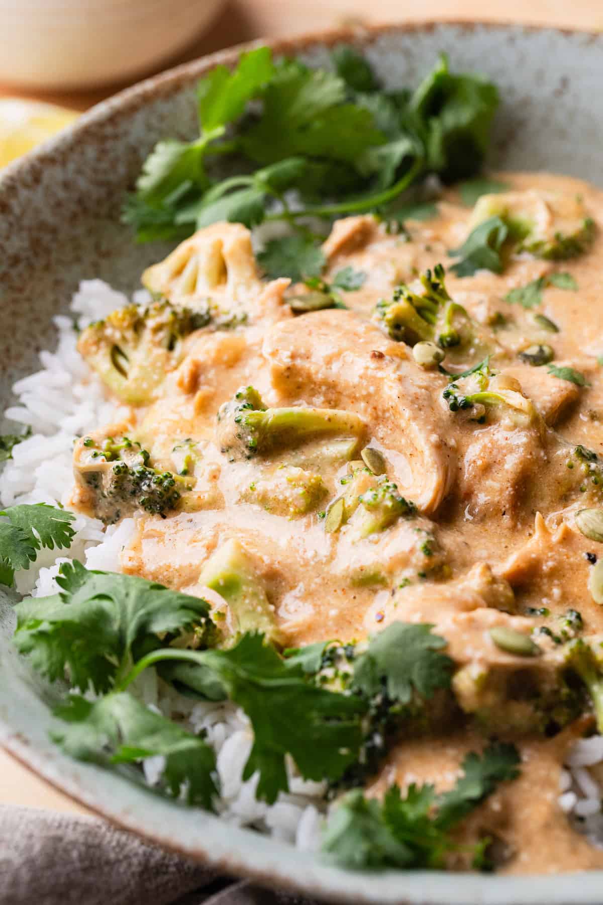 Chicken broccoli casserole in a bowl with toppings.