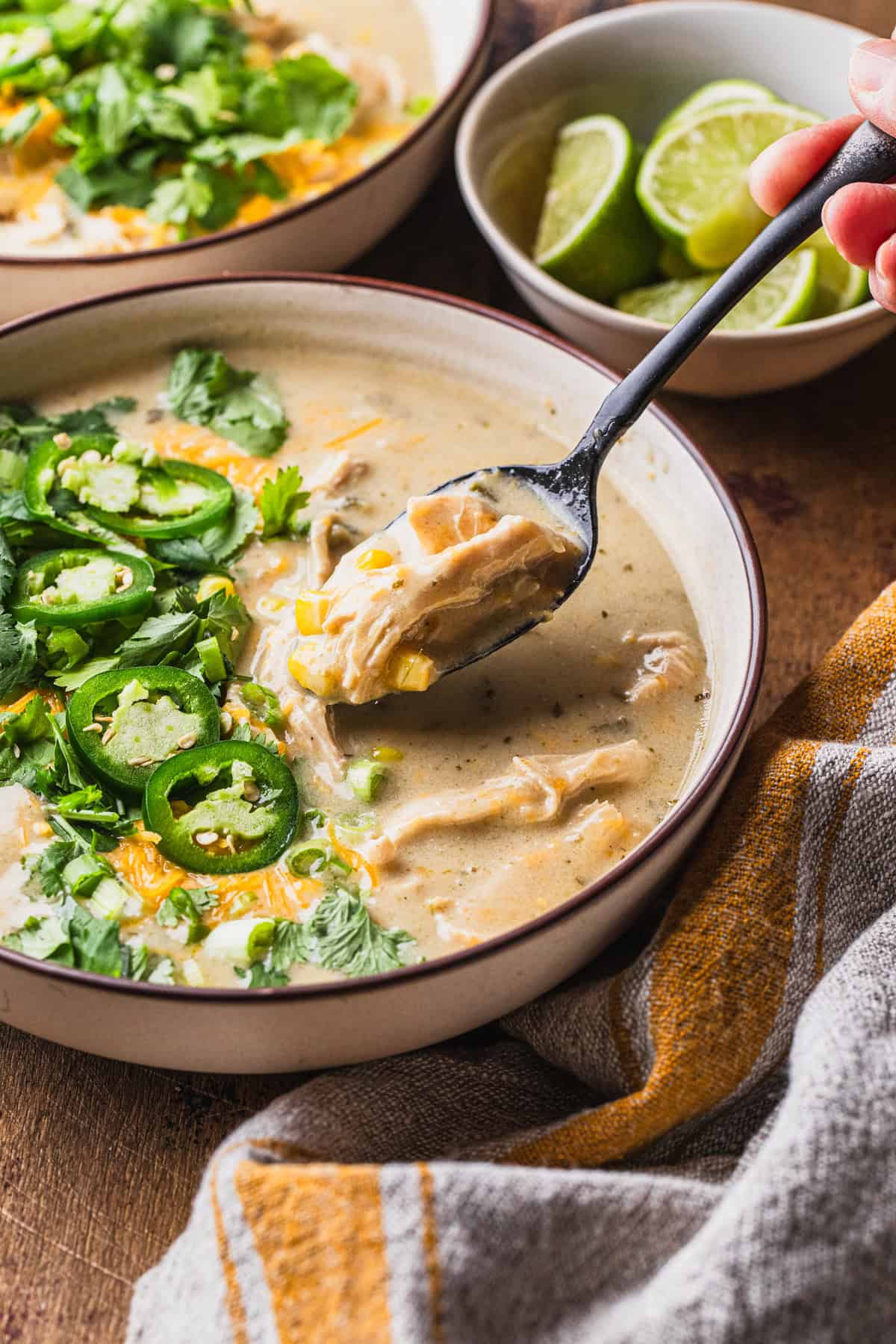 A spoonful of the completed soup recipe.